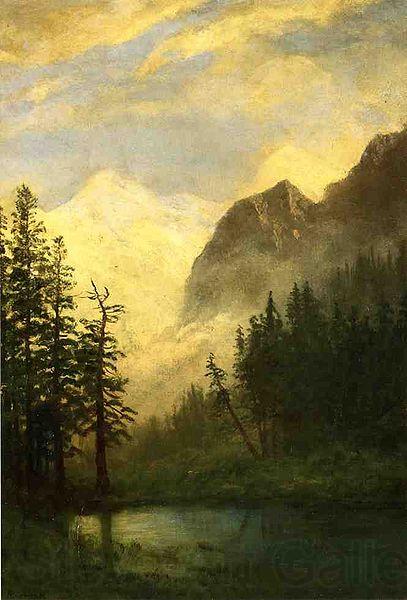 Albert Bierstadt Moonlit Landscape Norge oil painting art